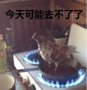 00018鸽子-今天可能去不了了