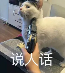 是喵星人啦00115-说人话猫