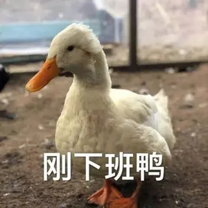 开心鸭00020-刚下班鸭