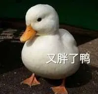 开心鸭00045-又胖了鸭
