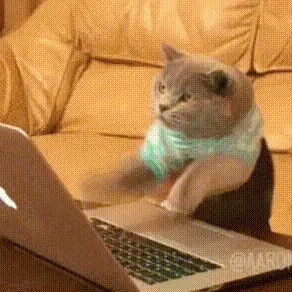 是喵星人啦00041-敲键盘猫