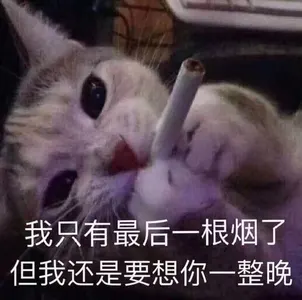 是喵星人啦00139-我只有最后一根烟了但我还是要想你一整晚猫
