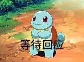 杰尼龟00026-等待回应