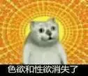 奇妙猫00021-色欲和性欲消失了