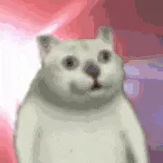 奇妙猫00002-炫光猫