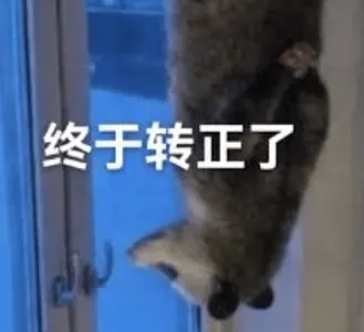 负鼠00008-终于转正了