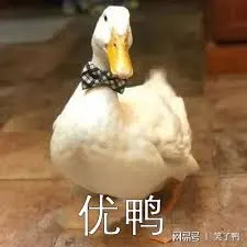 开心鸭00044-优鸭