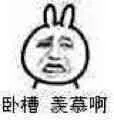 金馆长熊猫00265-卧槽羡慕啊