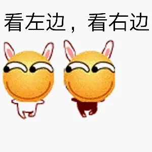 滑稽大佬00037-兔子-兔纸-看左边-看右边