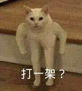 是喵星人啦00137-打一架猫