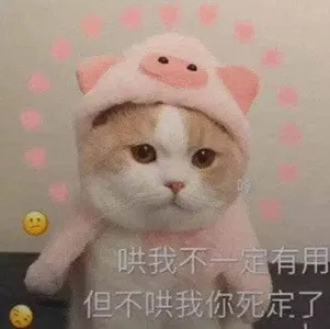 是喵星人啦00158-哄我不一定有用-但不哄我你就死定了猫