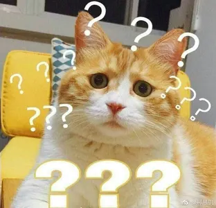 是喵星人啦00141-疑问猫