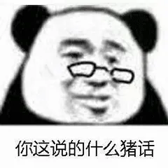 金馆长熊猫00240-你这说的什么猪话