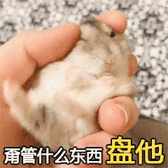000000006