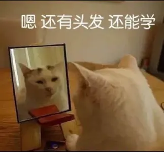 是喵星人啦00142-嗯-还有头发-还能学猫