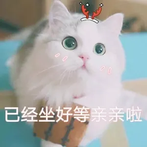 是喵星人啦00170-已经坐好等亲亲啦猫
