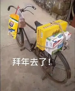 中国春节00048-拜年去了
