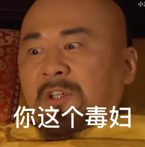 甄嬛传00001-你这个毒妇