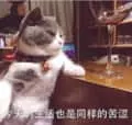是喵星人啦00060-今天的生活也是同样的苦涩猫