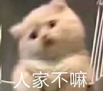 是喵星人啦00168-人家不嘛猫
