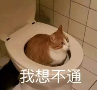 是喵星人啦00117-我想不通猫