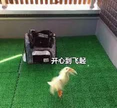 开心鸭00047-开心到飞起