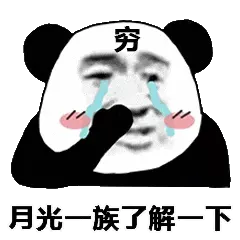 金馆长熊猫00103-月光一族了解一下