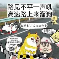 国庆节00020-路见不平一声吼高速路上来遛狗