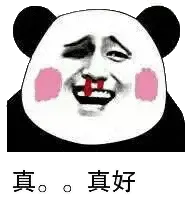 金馆长熊猫00190-真真好