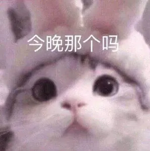是喵星人啦00156-今晚那个吗猫