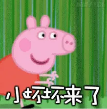 小猪佩奇00009-小坏坏来了