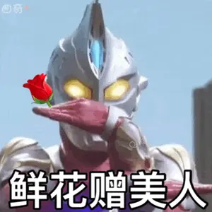 奥特曼00104-鲜花赠美人