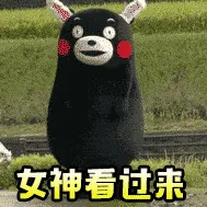熊本熊00002-女神看过来