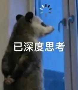 负鼠00001-已深度思考