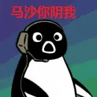 Penguin00052