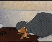 猫和老鼠00309-被打