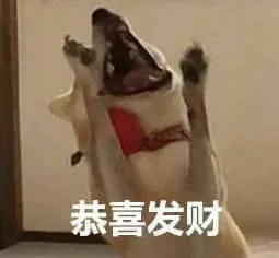 中国春节00005-恭喜发财