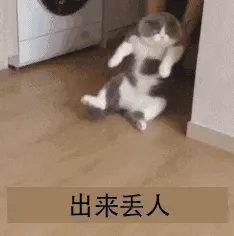 斗图之王00028