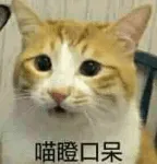 是喵星人啦00019-喵瞪口呆猫