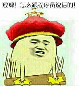 程序员00052-放肆怎么跟程序员说话呢
