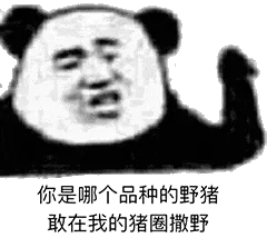金馆长熊猫00153-你是哪个品种的野猪敢在我的猪圈撒野
