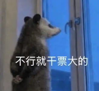 负鼠00029-不行就干票大的