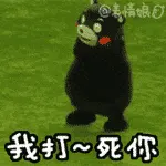 熊本熊00017-我打死你-哎呀