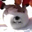 000000000