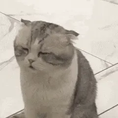 是喵星人啦00015-困苦猫