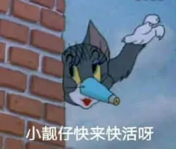猫和老鼠00131-小靓仔快来快活呀