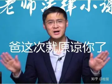 罗翔00038-爸这次就原谅你了