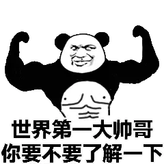 金馆长熊猫00098-世界第一大帅哥你要不要了解一下