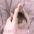 是喵星人啦00047-我错啦别凶我猫