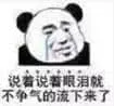 金馆长熊猫00259-说着说着眼泪就不争气的流下来了